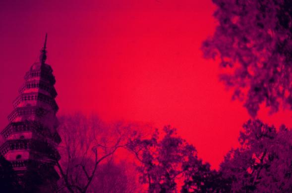 Harman Red 125 (FF)

English

A striking red-toned photograph showing a tall, multi-tiered pagoda on the left side, partially obscured by leafless trees. The sky is a deep red, creating a dramatic and intense atmosphere. The silhouettes of the trees and the pagoda stand out starkly against the vibrant red background.

中文

一张引人注目的红色调照片，左侧是一座高耸的多层宝塔，部分被光秃的树枝遮挡。天空呈深红色，营造出戏剧性和强烈的氛围。树木和宝塔的剪影在鲜红的背景下显得格外突出。