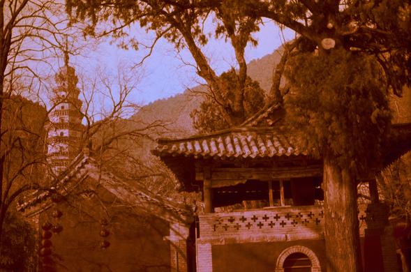 Harman Red 125 (FF)

English

A sepia-toned photograph featuring a traditional East Asian architectural scene. In the foreground, there are large, bare tree branches framing the image. To the right, a traditional building with a tiled roof and decorative brickwork is visible. In the background, a multi-tiered pagoda rises above the trees, set against a mountainous landscape. The overall atmosphere is serene and historical.

中文

一张带有棕褐色调的照片，展示了东亚传统建筑风景。前景是巨大的光秃树枝构成画面框架。右侧有一座传统建筑，屋顶铺有瓦片，砖墙上有装饰图案。…