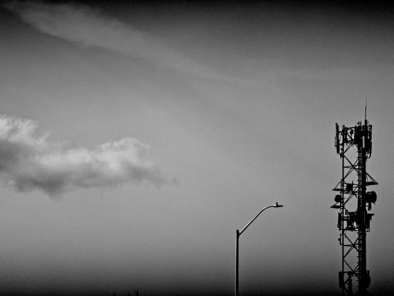 Posted media
