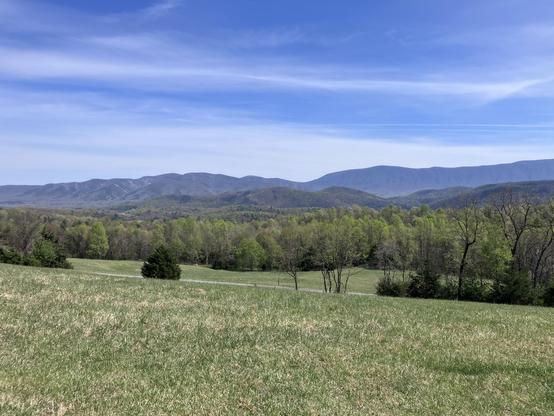 A panoramic view of rolling green hills and mountains under a clear blue sky, showcasing lush trees and grassy fields.