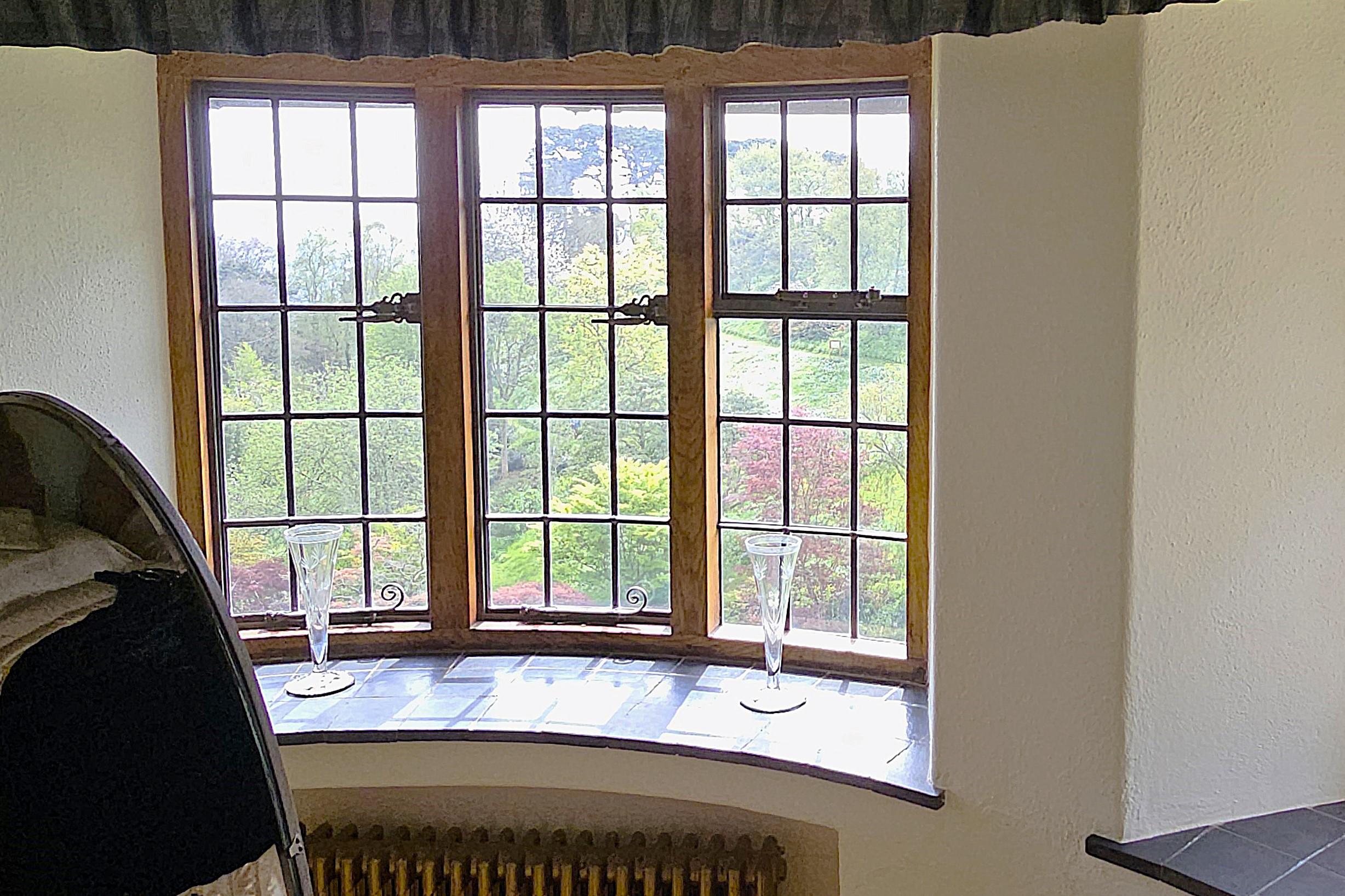 View through a curved window onto trees.