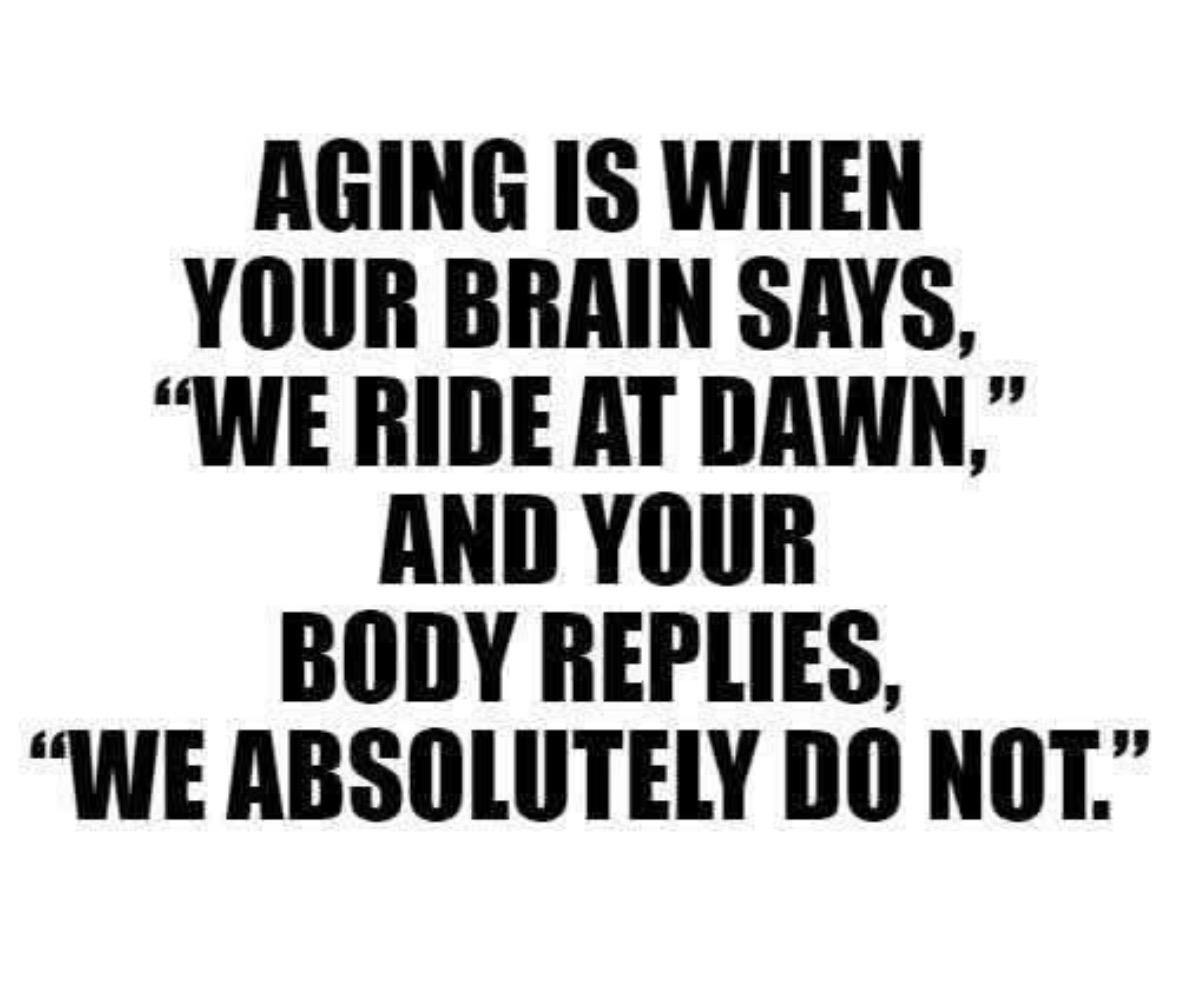 Aging is when your brain says, "We ride at dawn," and your body replies, "We absolutely do not."