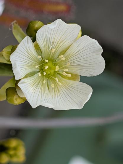 Posted media