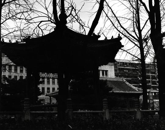 Lucky LUCKY SHD 400 (6x7)

English:

A black-and-white photograph featuring the silhouette of a traditional Chinese pavilion with a curved roof. The pavilion is framed by bare tree branches in the foreground, with modern buildings visible in the background.

中文:

一张黑白照片，展示了一座传统中式亭子的剪影，亭子屋顶弯曲。亭子被前景中光秃秃的树枝框住，背景中可见现代建筑。
