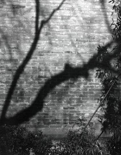 Lucky LUCKY SHD 400 (6x7)

English

A shadow of a tree branch is cast sharply against a brick wall. The shadow creates a striking, abstract pattern, with the branches extending diagonally across the wall. The wall itself is made of uniformly laid bricks, and some greenery is visible at the bottom right corner, suggesting the presence of plants or a garden nearby.

中文

一根树枝的影子清晰地投射在一面砖墙上。影子形成了一个鲜明的抽象图案，树枝斜向延伸穿过墙面。墙本身由整齐的砖块砌成，右下角可见一些绿色植物，暗示附近有植物或花园。