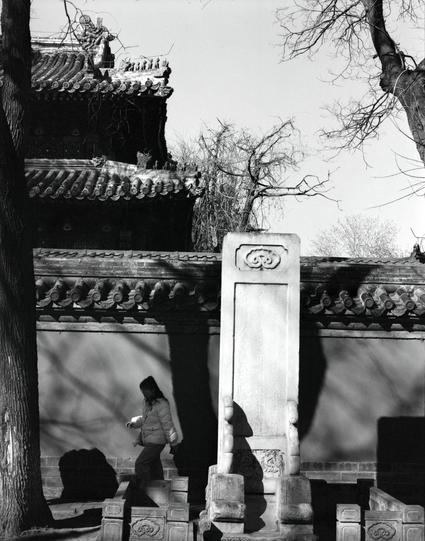 Lucky LUCKY SHD 400 (6x7)

English
A black-and-white photograph of a traditional Chinese architectural setting. The foreground features a tall, rectangular stone tablet with intricate carvings at the top. To the left, a person is walking through an arched gateway adorned with traditional Chinese roof tiles and decorative eaves. The background includes a tree and a wall with similar traditional roofing. Shadows are cast on the walls, adding depth to the scene.
中文
一张黑白照片，展示了中国传统建筑场景。前景是一块高大的长方形石碑…