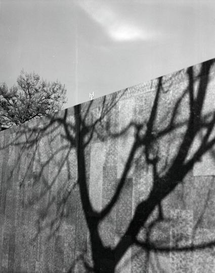 Lucky LUCKY SHD 400 (6x7)

English
A black-and-white photograph showing the shadow of a bare tree cast against a large, smooth, angled wall. The tree's branches and trunk create a stark, intricate silhouette. The wall is light-colored, and the shadow is dark and sharply defined. The sky above is bright, possibly overexposed, and a small antenna or structure is visible at the top of the wall.
中文
一张黑白照片，展示了一棵光秃树的影子投射在一个巨大、平滑且倾斜的墙面上。树枝和树干形成了鲜明而复杂的剪影。墙面颜色较浅，影子深色且轮廓清晰。上方的天空非常明亮，可能过度曝光，墙顶有一个小天线或建筑物。