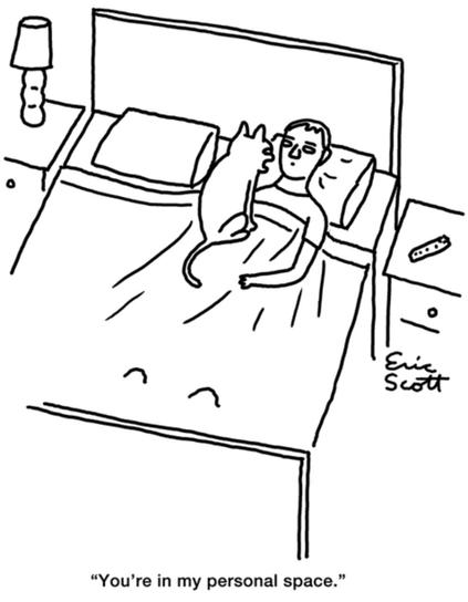 Single panel cartoon.
A man is laying alone on a double bed, under covers up to his armpits. His phone is atop a side table at his left. There’s a small lamp atop a side table on the other side of the bed. A cat is sitting on the man’s chest looking at him. The cat is saying, “You’re in my personal space.”
