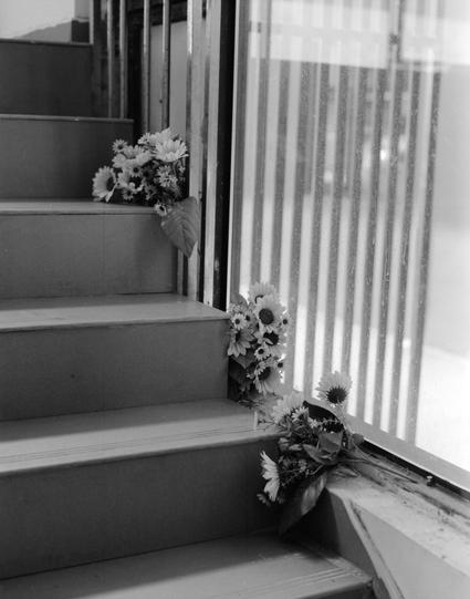 Lucky LUCKY SHD 400 (6x7)

English
A black-and-white photograph of a staircase with 7 steps. On the steps, there are two small bouquets of artificial flowers, each placed on a different step. The flowers are white with dark centers. The staircase is indoors, next to a window with vertical blinds, allowing light to filter through and create shadows.
中文
一张黑白照片，拍摄的是一个有七级台阶的楼梯。楼梯上放着两束小的人造花，每束放在不同的台阶上。花朵是白色的，花心较深。楼梯位于室内，靠近一个带有垂直百叶窗的窗户，光线透过百叶窗形成阴影。