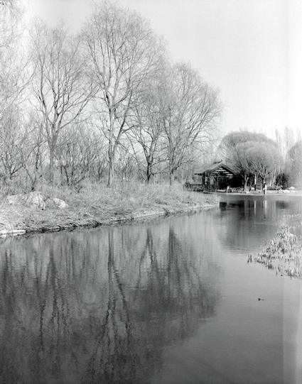 Lucky LUCKY SHD 400 (6x7)

English
A black-and-white photograph of a tranquil riverside scene. Leafless trees line the riverbank, their bare branches reaching over the calm water. In the background, a small wooden structure, possibly a cabin or shed, is partially obscured by the trees. The water reflects the trees and the sky, creating a serene atmosphere.
中文
一张黑白照片，展现了宁静的河边景色。河岸两侧种满了光秃秃的树木，枝条伸向平静的水面。背景中，一个小木屋或棚屋被树木部分遮挡。水面倒映着树木和天空，营造出宁静的氛围。