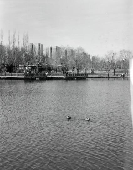 Lucky LUCKY SHD 400 (6x7)

English
A black-and-white photograph of a lake in an urban park. In the foreground, two ducks swim on the calm water. The background features a row of leafless trees and a boardwalk with people strolling. Tall apartment buildings rise in the distance, creating a contrast between nature and urban life.
中文
一张黑白照片，展现了城市公园中的湖泊。前景中，两只鸭子在平静的水面上游泳。背景是一排光秃秃的树木和一条有人散步的木板路。远处耸立着高层公寓楼，形成自然与城市生活的对比