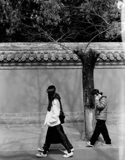 Kentmere PAN 200 (6x7)

English
A black-and-white photograph of three individuals walking along a paved path next to a traditional Chinese wall. The wall is adorned with decorative tiles along the top edge. One person is wearing a white jacket and carrying a shoulder bag, while the other is dressed in a padded jacket and appears to be talking on a phone. A leafless tree stands in front of the wall.
中文
一张黑白照片，三个人沿着铺砌的小路行走，路旁是一面中国传统风格的墙壁，墙顶装饰着瓷砖。一人穿着白色夹克，背着肩包；另一人穿着羽绒服，似乎在打电话。墙前有一棵光秃的树。