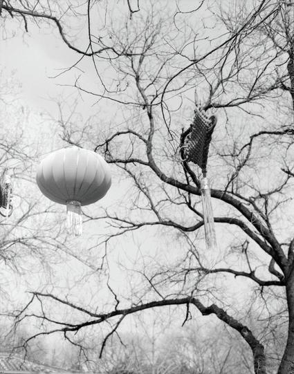 Kentmere PAN 200 (6x7)

English
A black-and-white photograph capturing a bare tree with a large, round lantern hanging from one of its branches. The lantern is spherical and appears to be made of fabric or paper. The tree branches are intricate and spread out against a clear sky.
中文
一张黑白照片，拍摄了一棵光秃的树，树枝上挂着一个大型的圆形灯笼。灯笼呈球形，看起来由布或纸制成。树枝错综复杂，映衬在清朗的天空下。