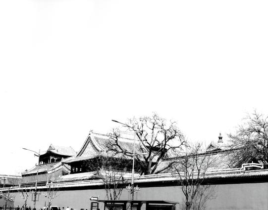 Kentmere PAN 200 (6x7)

##English
A black-and-white photograph of a traditional East Asian architectural complex. The scene features a high wall with layered, tiled roofs, characteristic of classical Chinese architecture. Bare trees with intricate branches are visible above the wall, set against a clear, bright sky. The image captures the serene and historical ambiance of the location.
##中文
一张黑白照片，展示了传统东亚建筑群。画面中有一堵高墙，墙上是层叠的瓦屋顶，具有典型的中国古典建筑特色。光秃的树木和错综复杂的枝干在墙上方可见，背景是明亮的天空。这张图片展现了该地点宁静而历史悠久的氛围。
