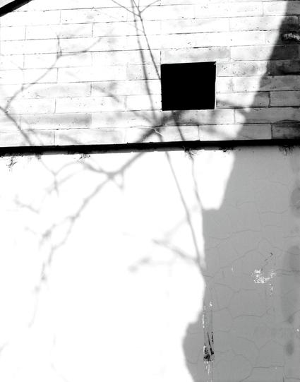 Kentmere PAN 200 (6x7)

##English
A black-and-white close-up of a white brick wall. A small, square window with a dark interior is centered in the image. The shadows of tree branches are cast across the wall, creating a pattern of intersecting lines. The texture of the bricks and the play of light and shadow add depth to the scene.
##中文
一张黑白特写照片，展示了一面白色砖墙。图片中央是一个小小的方形窗户，内部昏暗。树枝的影子投射在墙上，形成交错的线条图案。砖块的纹理和光影的变化为场景增添了深度。