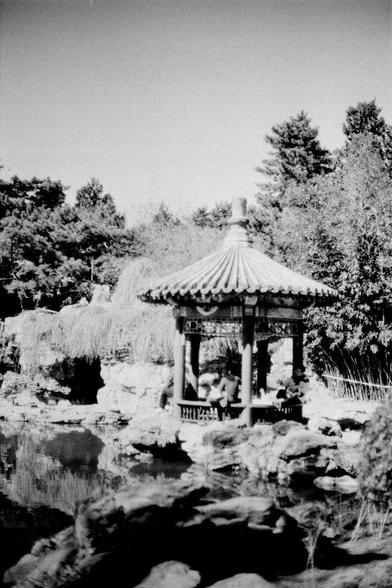 ERA 100 (FF)

English
A black-and-white photograph of a traditional Chinese gazebo with a conical roof, situated in a garden with a pond. The gazebo is surrounded by rocks, trees, and a thatched structure. Two people are seated inside the gazebo, enjoying the peaceful surroundings. The scene is framed by various trees and shrubs, enhancing the tranquil and natural ambiance.
中文
一张黑白照片，展示了一座传统中式凉亭，亭子有圆锥形屋顶，位于一个花园的池塘旁。凉亭被岩石、树木和一个茅草结构包围着。两个人坐在凉亭内，享受着宁静的环境。各种树木和灌木装点着场景，增强了宁静而自然的氛围。