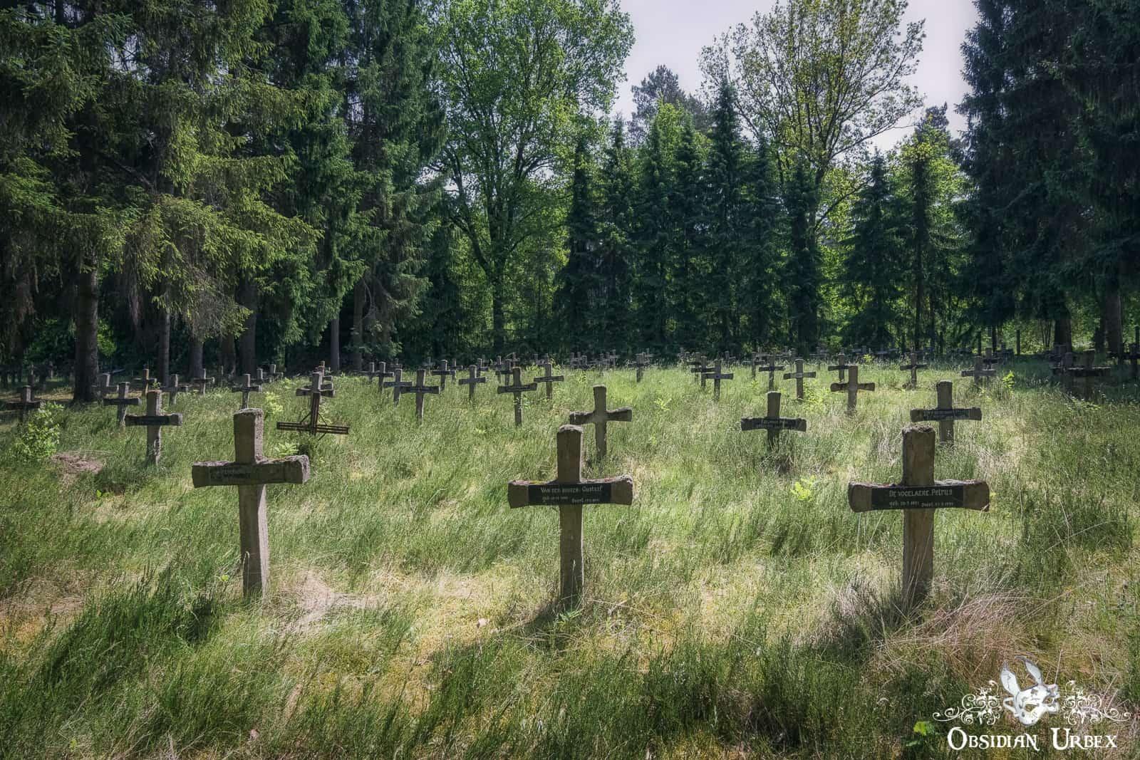 Overgrown graveyard with cross shape headstones