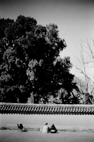 ERA 100 (FF)

English
Black-and-white photograph of a large tree with dense foliage. In the foreground, three people sit on the ground near a traditional tiled wall with decorative eaves.
中文
黑白照片，一棵茂密的大树占据画面上方。前景中，三个人坐在地上，靠近一个带装饰屋檐的传统瓦墙。