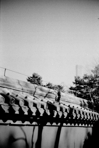 ERA 100 (FF)

English
Black-and-white photograph of a traditional tiled roof with decorative eaves. The roof curves upward, and trees are visible in the background.
中文
黑白照片，展示一个传统的瓦屋顶，带有装饰性屋檐。屋顶向上弯曲，背景中可见树木。
