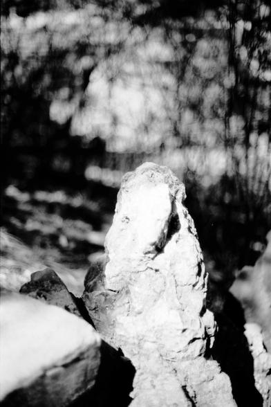ERA 100 (FF)

English
Black-and-white close-up of a weathered stone with blurred trees in the background. The statue appears to be of a certain figure.
中文
黑白特写，展示一尊风化的石头，背景是模糊的树木。雕像看起来是一个某种形状，面部特征已磨损。