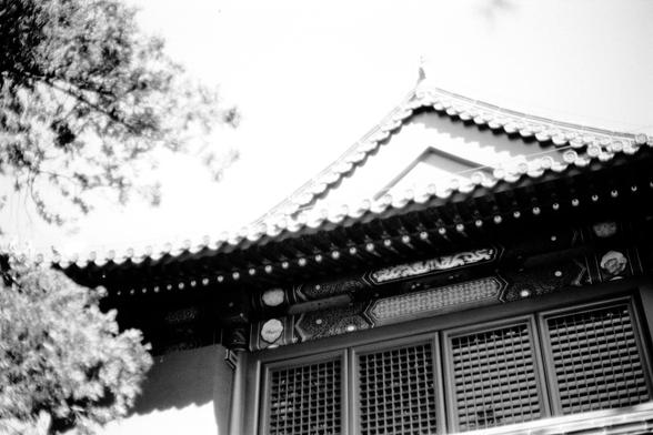 ERA 100 (FF)

English
Black-and-white photograph of the upper section of a traditional East Asian building. The roof features intricate, ornate eaves with detailed carvings and decorative elements. The tiles are layered, and the edges are upturned, typical of classical East Asian architecture. A tree branch partially frames the top left corner of the image.
中文
黑白照片，拍摄的是一栋传统东亚建筑的上部。屋顶具有精美的装饰性屋檐，带有详细的雕刻和装饰元素。屋顶瓦片层叠，边缘向上翘起，这是古典东亚建筑的典型特征。一根树枝部分框住了图像的左上角。