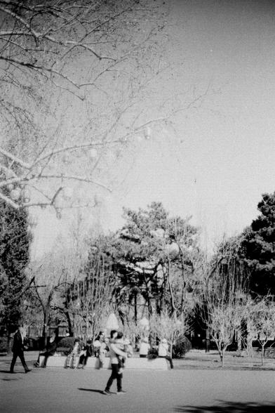 ERA 100 (FF)

English
Black-and-white photograph of a park scene with leafless trees in the background. Several people are visible, some walking and others sitting on benches. The ground is open and spacious, with a clear path. The trees have a delicate, branching structure.
中文
黑白照片，展示了一个公园场景，背景是光秃的树木。照片中有几个人，有些在行走，有些坐在长椅上。地面开阔宽敞，有一条清晰的小路。树木的枝干结构细腻，分支清晰。