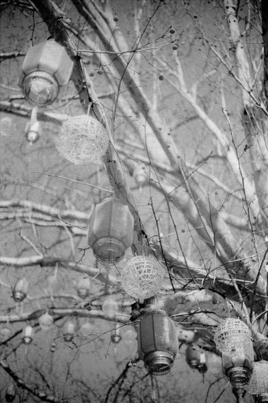 ERA 100 (FF)

English
Black-and-white close-up of traditional Chinese lanterns hanging among bare tree branches. The lanterns are round and intricately designed, with visible patterns and tassels. The branches crisscross in the background, creating a dense, textured effect.
中文
黑白特写照片，展示了悬挂在光秃树枝之间的传统中国灯笼。灯笼呈圆形，设计精美，表面有清晰的图案和流苏。树枝在背景中交错纵横，形成密集的纹理效果。