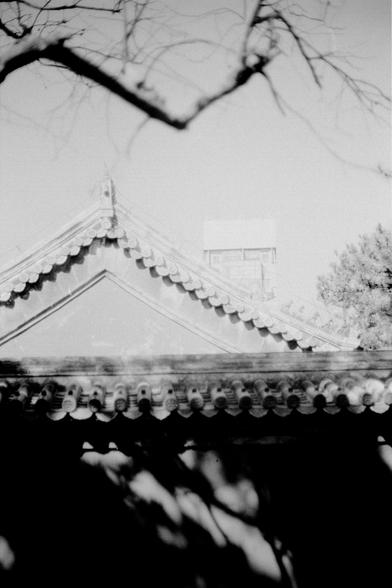 ERA 100 (FF)

English
Black-and-white photograph of a traditional Chinese tiled roof with intricate, layered eaves. In the foreground, bare tree branches frame the top of the image. Below the roof, a row of ornate, sculpted figures lines the edge, appearing as part of the architectural decoration. In the background, a modern building is vaguely visible.
中文
黑白照片，拍摄的是一个传统中式屋顶，屋顶的瓦片层层叠叠，边缘装饰精美。前景是光秃秃的树枝，横跨在图像上方。屋顶下方排列着一排雕刻精美的人物形象，似乎是建筑装饰的一部分。背景中一栋现代建筑隐约可见。