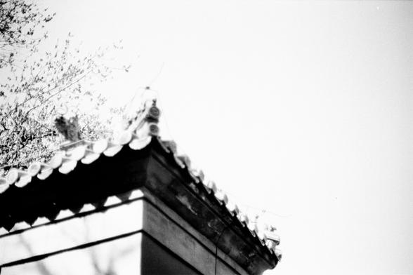 ERA 100 (FF)

English
Black-and-white photograph focusing on the corner of a traditional Chinese tiled roof. The roof features layered, curved eaves with detailed tile work. The sky is bright and clear, providing a stark contrast to the dark roof tiles.
中文
黑白照片，聚焦于传统中式屋顶的一个角落。屋顶有分层的、弯曲的屋檐，瓦片细节丰富。天空明亮清晰，与深色的屋顶瓦片形成鲜明对比。