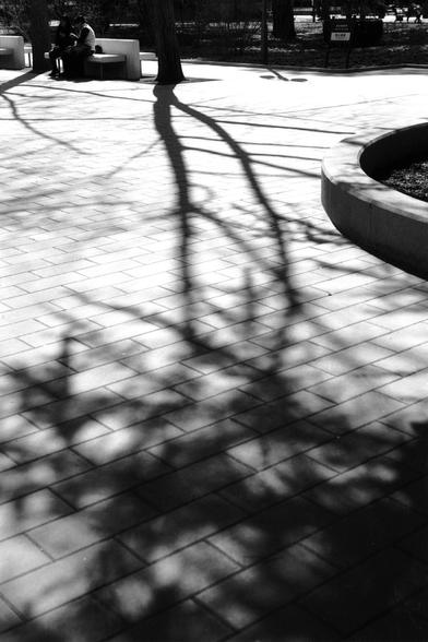 ERA 100 (FF)

English
A black-and-white photograph of a paved plaza with a circular planter. The shadows of bare tree branches are cast sharply across the light-colored tiles, creating a dynamic pattern. In the background, two people sit on a bench near a tree, partially obscured by the shadows.
中文
一张黑白照片，画面是一个铺砌的广场，中间有一个圆形的花坛。光秃秃的树枝影子清晰地投射在浅色的地砖上，形成动态的图案。背景中，两个人坐在长椅上，靠近一棵树，部分被影子遮挡。