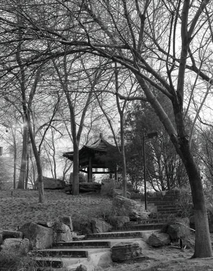 Kentmere PAN 400 (6x7)

##English
Black and white photograph of a serene park scene. A traditional Chinese pavilion with a tiled roof is situated on a small hill, surrounded by bare trees. A stone staircase with brick steps leads up to the pavilion. The ground is covered with dry grass and scattered rocks, creating a natural and peaceful atmosphere.
##中文
黑白宁静公园景观照片。一座传统中式凉亭位于一个小山丘上，周围环绕着光秃秃的树木。一段石阶砖步道通向凉亭。地面覆盖着干草和零散的岩石，营造出自然宁静的氛围。