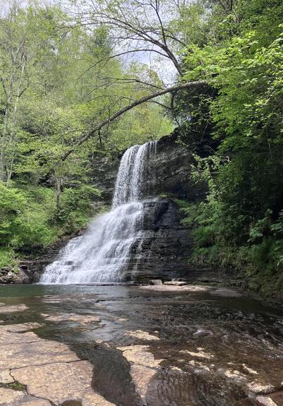 A picturesque waterfall cascades down rocky cliffs surrounded by lush green trees. The clear water pools at the base, reflecting the vibrant greenery above.