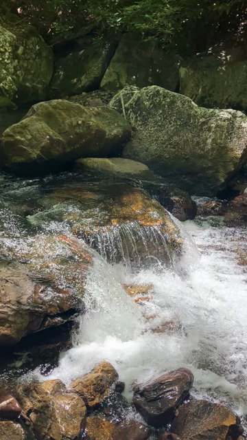 This waterfall may have been small, but recent rains meant it was transiting lots of water.