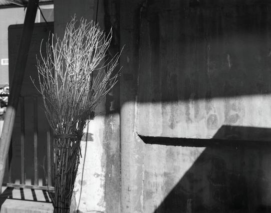 Kentmere PAN 400 (6x7)

##English
A black-and-white photograph of a broomstick with thin, leafless twigs placed against a wall. The branch casts a distinct shadow on the rough, textured wall. The image captures the contrast between the delicate branches and the rugged surface, with a portion of a wooden staircase visible on the left side.
##中文
一张黑白照片，展示了一根靠着墙的扫帚。枝在粗糙、有质感的墙上投下清晰的影子。照片捕捉了细嫩枝条与粗糙墙面之间的对比，左侧还能看到一部分木制楼梯。