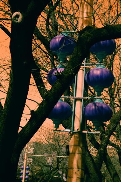 Harman Switch Azure (FF)

English
A close-up of a street lamp post with several purple lanterns hanging from it. The lanterns are round and appear to be made of paper. The background features bare tree branches and an orange sky, creating a warm, autumnal atmosphere.
中文
街灯杆的特写，上面挂着几盏紫色灯笼。灯笼是圆形的，看起来像是纸制的。背景是光秃秃的树枝和橙色的天空，营造出温暖的秋日氛围。