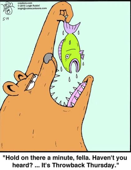 single-panel comic. A bear is holding a dripping fish over its mouth.  The fish is saying, "Hold on there a minute, fella. Haven't you heard? ... It's Throwback Thursday."
