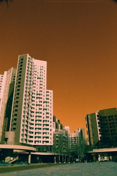Harman Switch Azure (FF)

English
A cityscape with an orange-tinted sky. The foreground features a grassy area with a few leafless trees. In the background, there are several tall residential buildings with numerous windows. The buildings are mostly white and gray, with some having balconies.
中文
一幅城市景观，天空呈现橙色色调。前景是一片草地，上面有几棵光秃秃的树。背景中是几栋高层住宅楼，有很多窗户。这些建筑大多是白色和灰色的，有些还带有阳台。