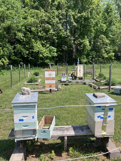 A honey bee sanctuary with several beehives arranged on benches. It is encircled by an electric fence. 