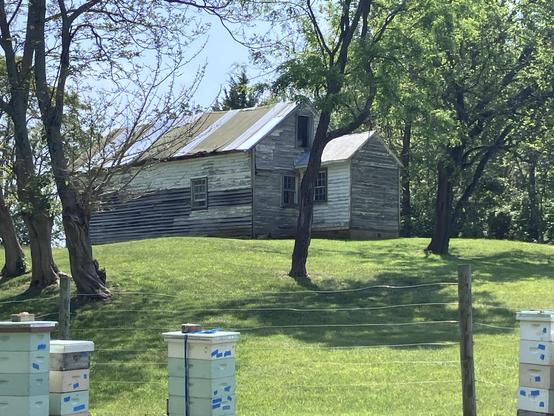 An old, weathered wooden house sits on a grassy hill, surrounded by trees. In the foreground, several bee hives are visible, positioned near a fence. The sky is clear and blue.