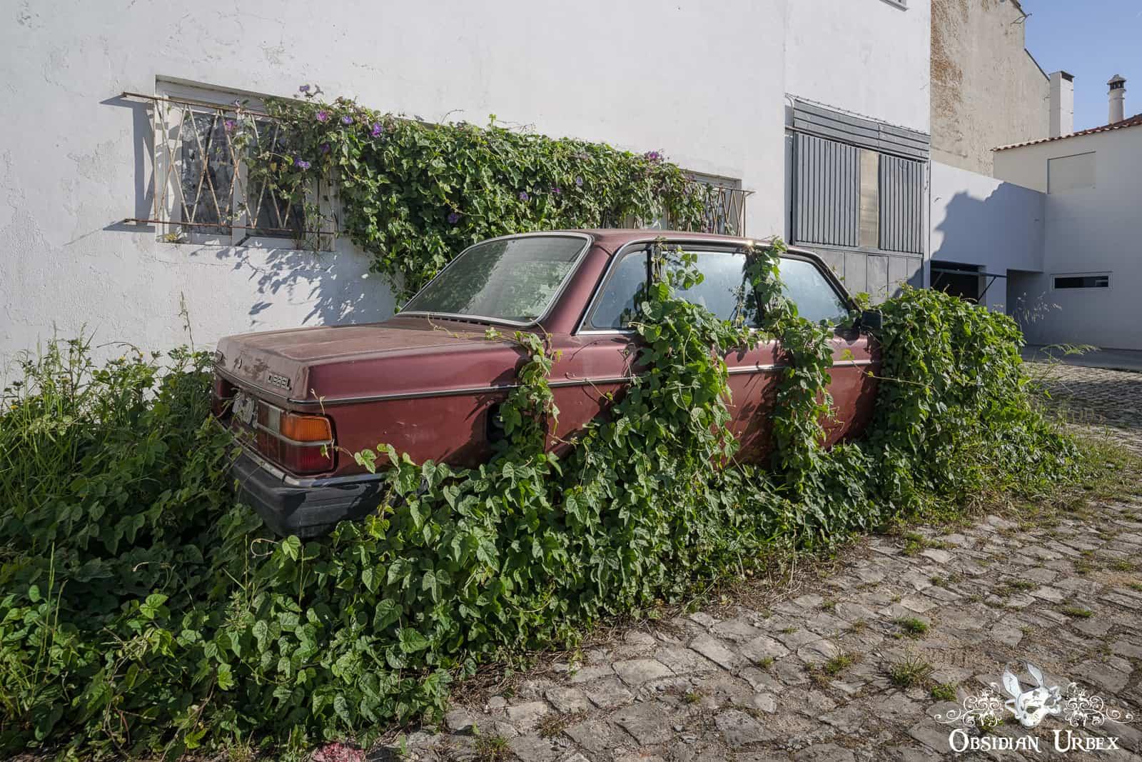 An abandoned red Volvo sedan, heavily overgrown with green vines, rests beside a white building.