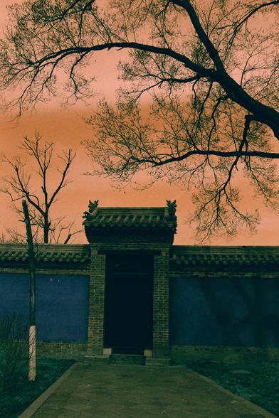 Harman Switch Azure (FF)

English
A traditional brick gateway with a tiled roof and decorative elements stands in the foreground. Above it, bare tree branches stretch across an orange-pink sky. The gateway is part of a blue-painted brick wall, creating a striking contrast with the warm sky.
中文
前景是一座传统的砖砌门楼，屋顶铺有瓦片，并有装饰性元素。上方是光秃秃的树枝，横跨在橙粉色的天空中。门楼是蓝色粉刷砖墙的一部分，与温暖的天空形成鲜明对比。