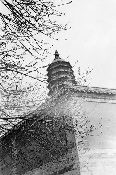 Lucky LUCKY SHD 400 (FF)

##English
Black-and-white photograph of a traditional Chinese pagoda with a multi-tiered, ornate roof. The pagoda is partially obscured by bare tree branches in the foreground, creating a layered visual effect. The sky is clear, emphasizing the silhouette of the structure.
##中文
黑白照片，展示了一座传统中式多层塔，塔顶装饰精美。前景中光秃秃的树枝部分遮挡了塔身，形成了分层的视觉效果。天空晴朗，突出了建筑的轮廓。