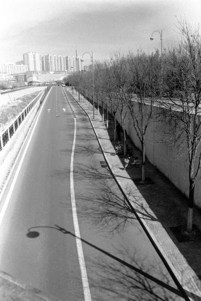 Lucky LUCKY SHD 400 (FF)

##English
Black-and-white photograph of a long, straight road with a divided lane marked by dashed white lines and arrows. On the right side, there is a sidewalk lined with leafless trees and a concrete wall. In the distance, high-rise residential buildings are visible under a clear sky. A street lamp and its shadow are prominent in the foreground.
##中文
黑白照片，拍摄的是一条笔直的长路，路中间有白色虚线和箭头标记的分道线。右侧是人行道，种有光秃秃的树和一道水泥墙。远处可见高层住宅楼，天空晴朗。前景中有一盏路灯及其投射的影子。