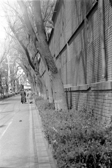 Lucky LUCKY SHD 400 (FF)

##English
Black-and-white photograph of a tree-lined sidewalk. A brick wall with horizontal brick lines runs along the right side. Two people walk away from the camera on the sidewalk, which is bordered by low shrubbery. Bare tree branches stretch overhead, creating a canopy. The scene is quiet, with no other pedestrians or vehicles visible.
##中文
黑白照片，展示了一条两侧种有树木的人行道。右侧是一面砖墙，墙上有水平砖纹。两个人背对着镜头在人行道上行走，人行道旁边有低矮的灌木丛。光秃秃的树枝在头顶上方延伸，形成一个天篷。现场安静，没有其他行人或车辆。