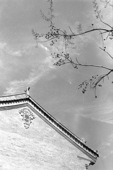 Lucky LUCKY SHD 400 (FF)

##English
A black-and-white photograph of the corner of a traditional Chinese building. The roof features intricate carvings and ornamental details, including a circular medallion with floral designs. A tree branch with small buds extends into the frame from the top right, contrasting with the architectural elements. The sky is visible in the background, adding depth to the image.
##中文
一张黑白照片，展示了中国传统建筑的一个角落。屋顶装饰有精美的雕刻和装饰性细节，包括一个带有花卉图案的圆形饰章。右上角伸入画面的是一根长有小花苞的树枝，与建筑元素形成对比…