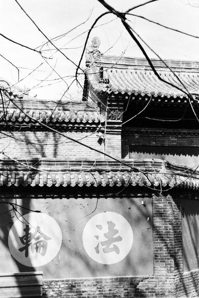 Lucky LUCKY SHD 400 (FF)

English
A black-and-white photograph of a traditional Chinese building with a tiled roof and decorative eaves. The wall features two large circular signs with Chinese characters: "輪" (wheel) and "法" (law/method). Bare tree branches partially obscure the view of the building. The image is taken from a low angle, emphasizing the roof's details.
中文
一张黑白照片，拍摄的是一座传统中式建筑，屋顶为瓦片结构，屋檐装饰精美。墙上有两个大型圆形标志，分别写着汉字：“輪”、“法”。光秃的树枝部分遮挡了建筑的视线。照片从低角度拍摄，突出了屋顶的细节。
