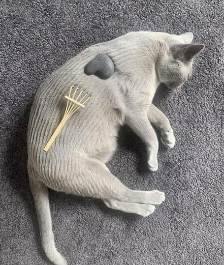 Photo of a light-colored cat laying on its side on a carpet. A small stone is placed on its shoulder. A small rake lies on its side. There are patterns that look like the cat’s fur has been raked like a zen garden. Possibly AI image. I can’t tell.