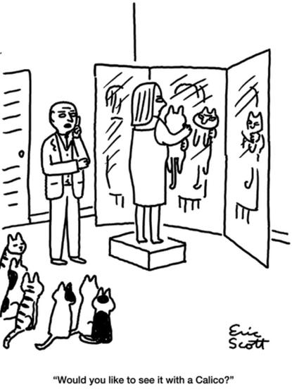 Single-panel comic. A woman is standing in front of a mirror in what seems to be a dress shop. She is holding a cat in her arms. There are six cats sitting on the floor behind her. A salesman stands next to her saying, “Would you like to see it with a calico?”
