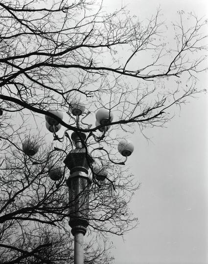 Ilford HP5 Plus 400 (6x7)

##English
Black-and-white photograph of a tall, ornate street lamp. The lamp post is decorated with intricate patterns and features multiple globular lights extending from curved arms. Bare tree branches surround the lamp, creating a stark contrast against the pale sky.
##中文
黑白照片，展示一盏高大而精美的路灯。灯柱上装饰有精美的图案，并配有多个从弯曲灯臂延伸出的球形灯。裸露的树枝围绕着路灯，与苍白的天空形成鲜明对比。