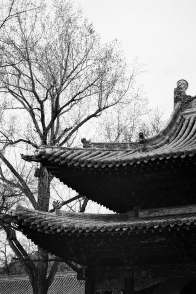 Kentmere PAN 400 (FF)

English
Black-and-white photo of the corner of a traditional Chinese building with a tiled roof. The roof has upturned eaves and decorative figures on the ridges. A tall, leafless tree stands in front of the building, with its branches extending upward.
中文
黑白照片，展示一座传统中式建筑的角落，屋顶铺有瓦片。屋顶屋檐向上翘起，屋脊上有装饰性人物。建筑前有一棵高大的落叶树，树枝向上延伸。